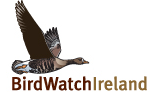 Bird tables at the ready: it’s almost time for Birdwatch Ireland’s annual survey