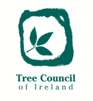 Hug a tree for Ireland's National Tree Week