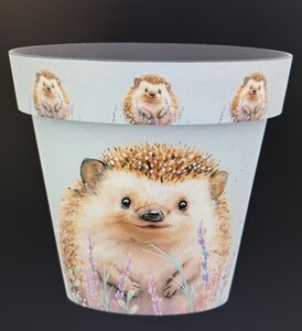 22cm Zest Pot - Hedgehog