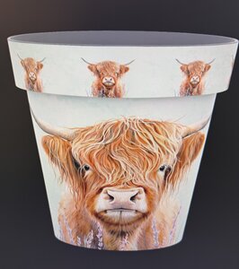 30cm Zest Pot - Highland Cow