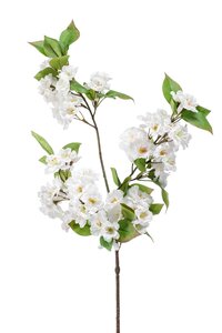 Apple blossom spray x3 white 80cm