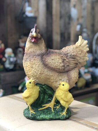 Hen & 2 Chicks