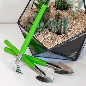 Indoor Plant Accessories