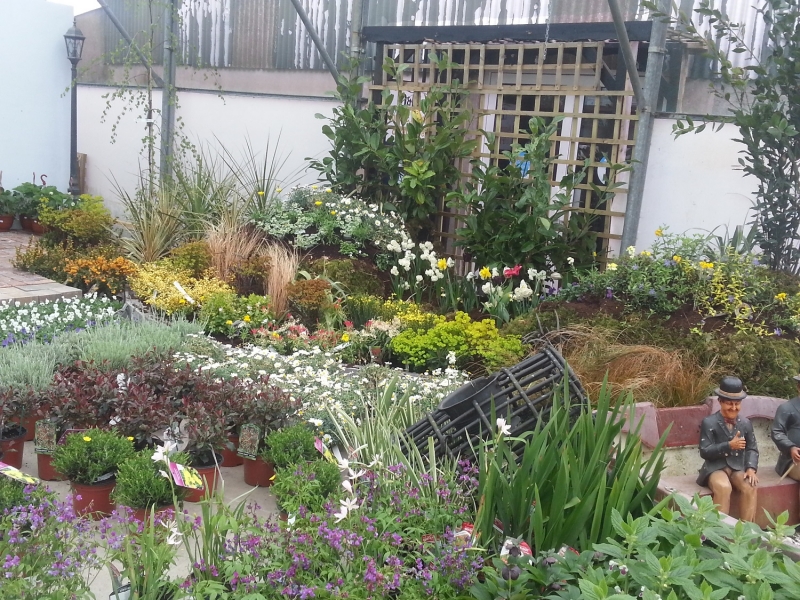 perennial plants newcastle west