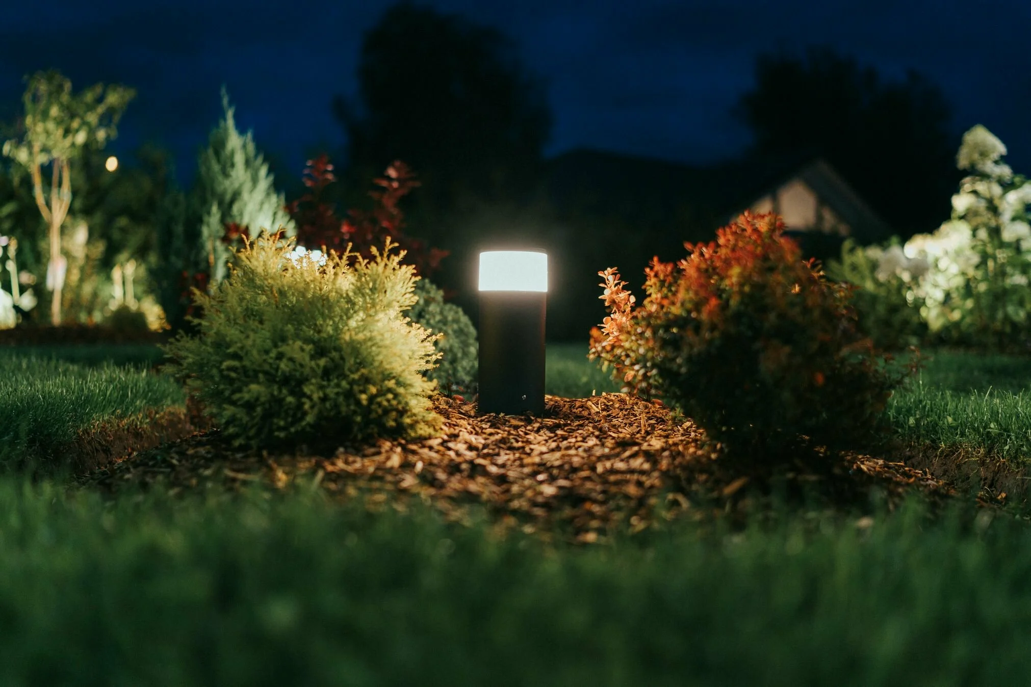 Escape to the garden  Lighting