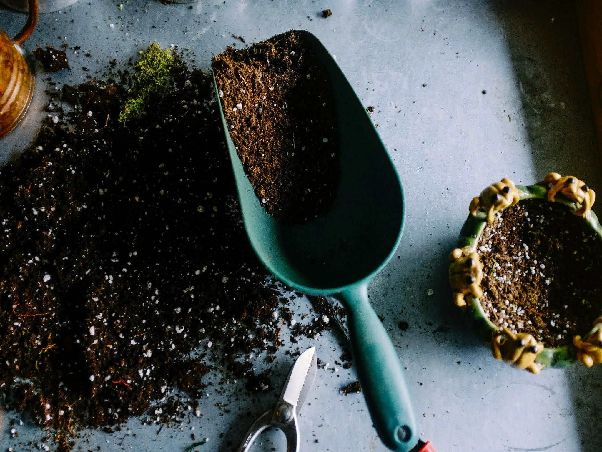 How to start a compost heap