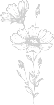 Background Image Background Image