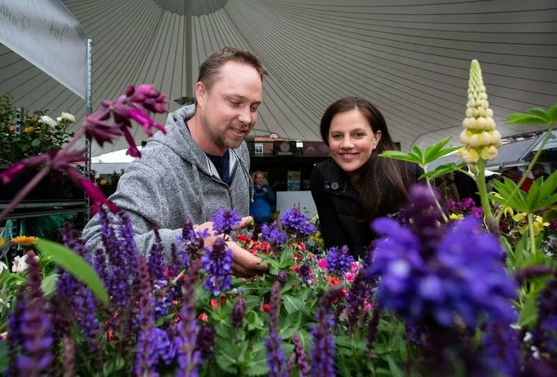 Toms do's and don'ts