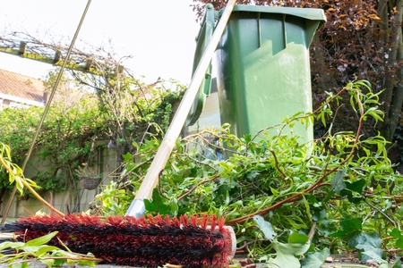4 things to do with your garden waste