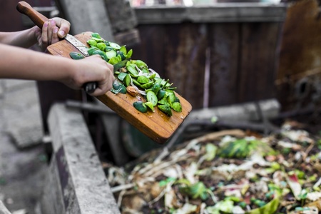 Compost: the ultimate guide