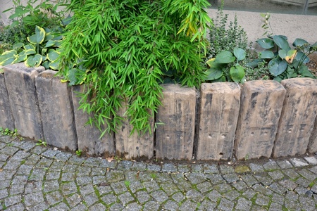 Controlling bamboo: how to stop it taking over your garden