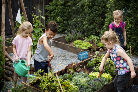 Getting children interested in gardening: our 5 tips