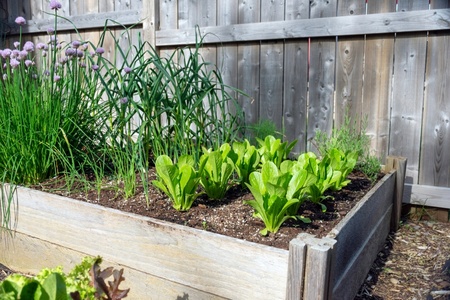 How to create a square foot garden
