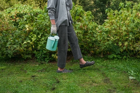 How to keep a healthy lawn, even when it’s dry
