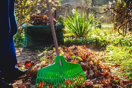 Lawn care in atutumn