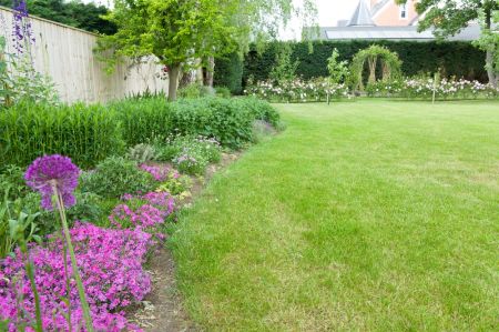 Lawn tips for June