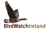 Ireland's birdlife is under the spotlight again