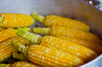 Plant a classic American Indian combination of squash, beans and corn and reap the rewards