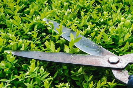 Top 5 alternatives to box hedging