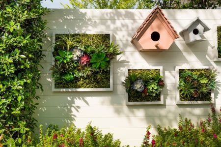 Top 6 ideas for vertical gardening