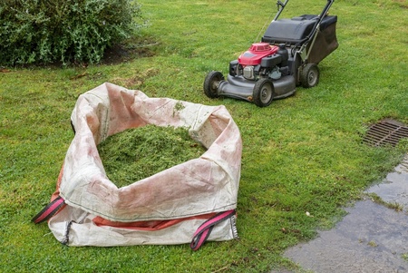 When to stop mowing your lawn in autumn?