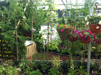 Garden centre 2014