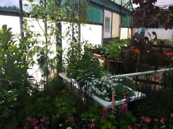 Garden centre 2014