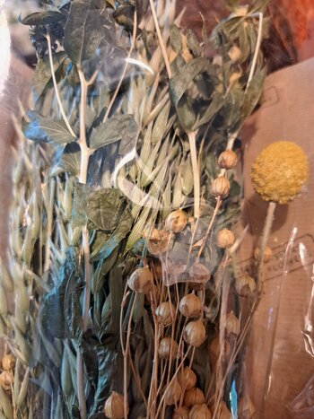 Dried flowers