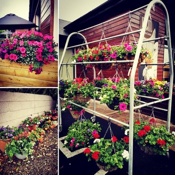 Garden Ideas