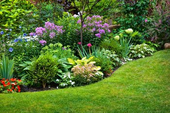 Garden Ideas