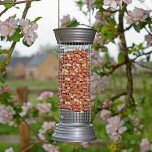 20cm Supreme Peanut Feeder