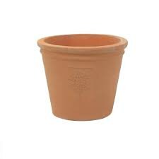 22CM RHS ROSEMOOR CONICAL POT