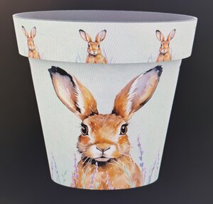 22cm Zest Pot - Hare