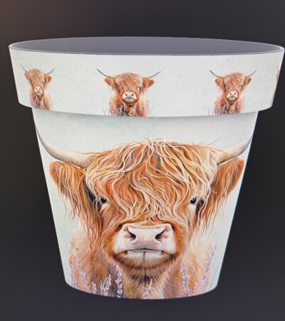 22cm Zest Pot - Highland Cow