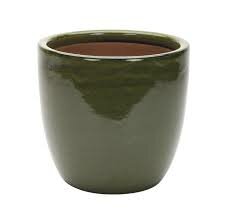 26CM JULY EGG POT