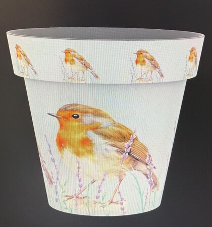 30cm Zest Pot - Robin