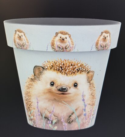 38cm Zest Pot - Hedgehog