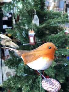 4.5" Cotton Robin On 4"