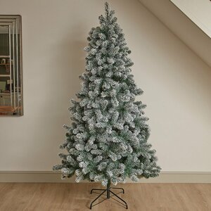 7ft Snowy King Pine