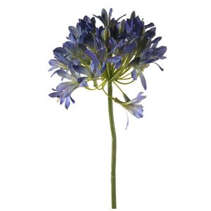 Agapanthus spray 88cm blue