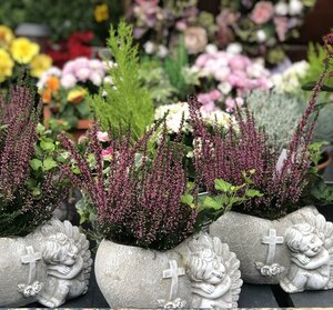 All Saints Arrangement