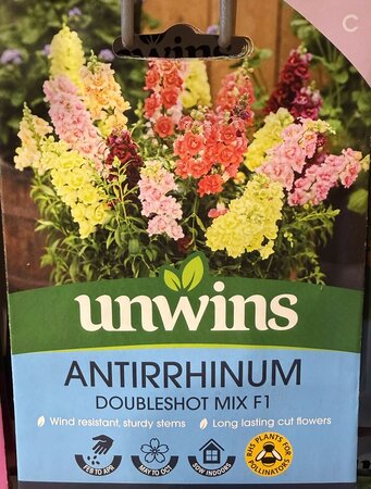 Antirrhinum Doubleshot Mix - image 1