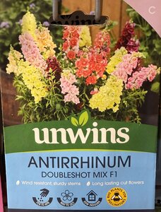 Antirrhinum Doubleshot Mix