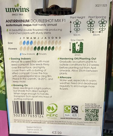 Antirrhinum Doubleshot Mix - image 2