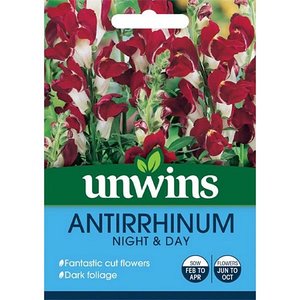 Antirrhinum Night & Day