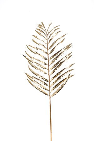 Areca palm leaf gold