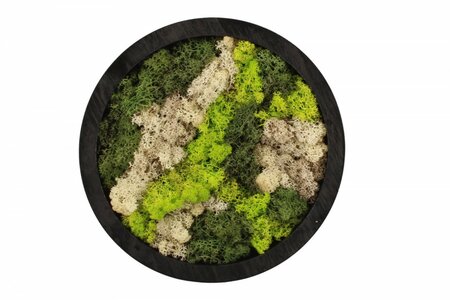 Arr.90571 moss art