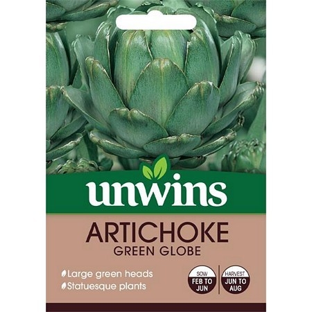 Artichoke Violetto di Romagna