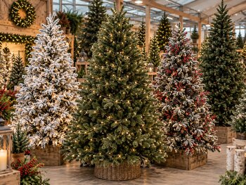 Artificial Christmas Trees