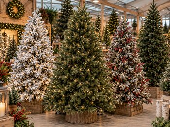 Artificial Christmas Trees
